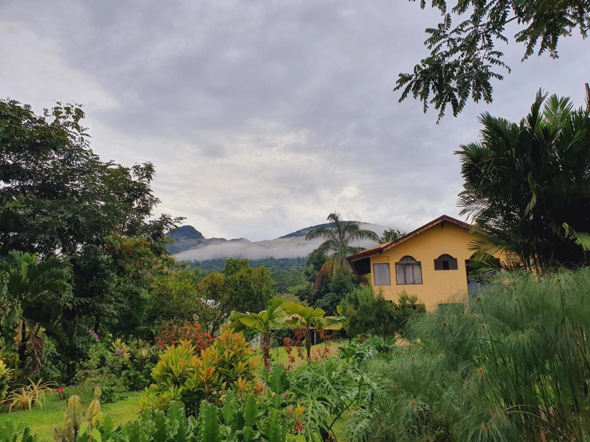 Yellow Tree Suites La Fortuna Exterior foto